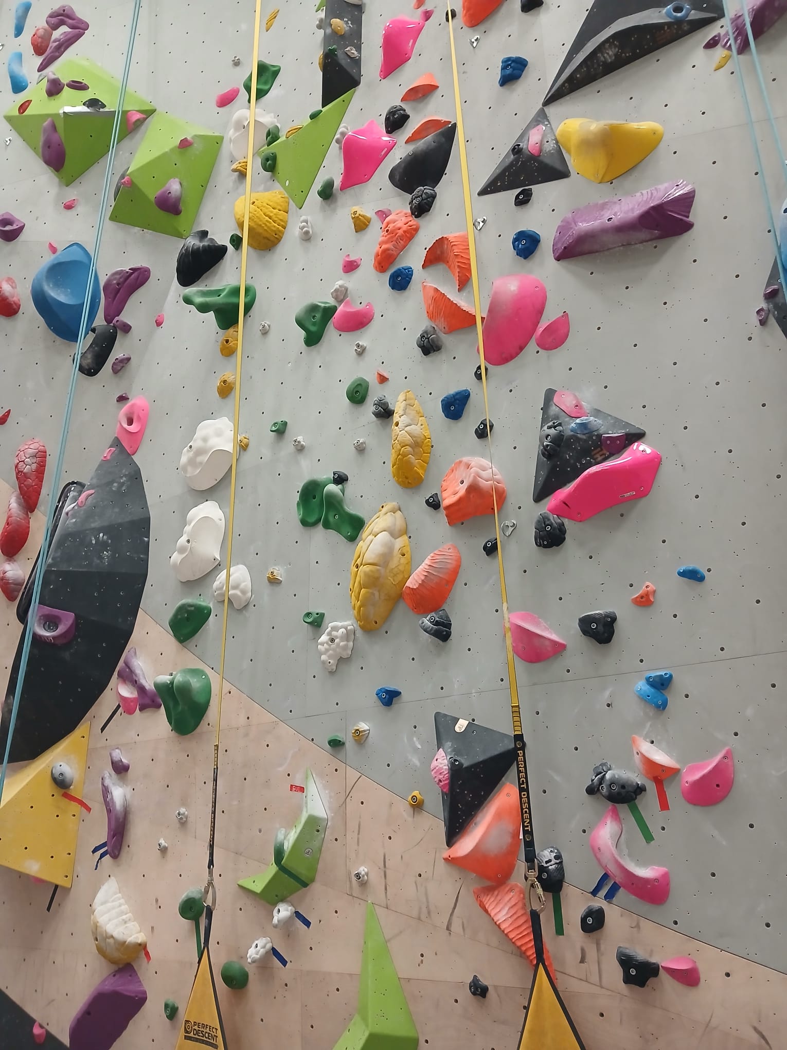 Photo of this section